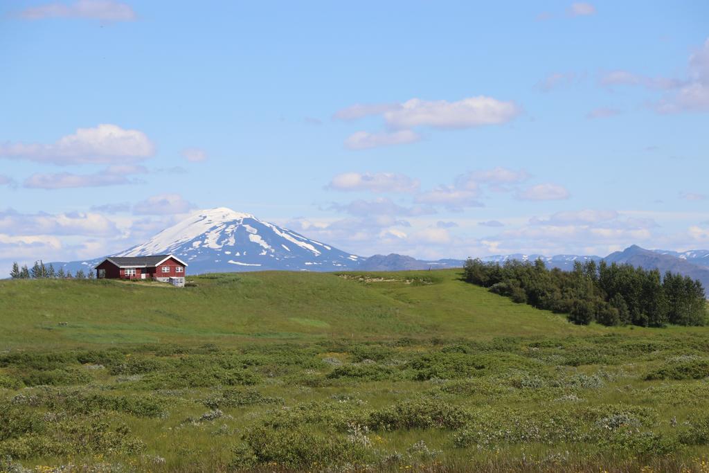 Svetlana Guest house 2*