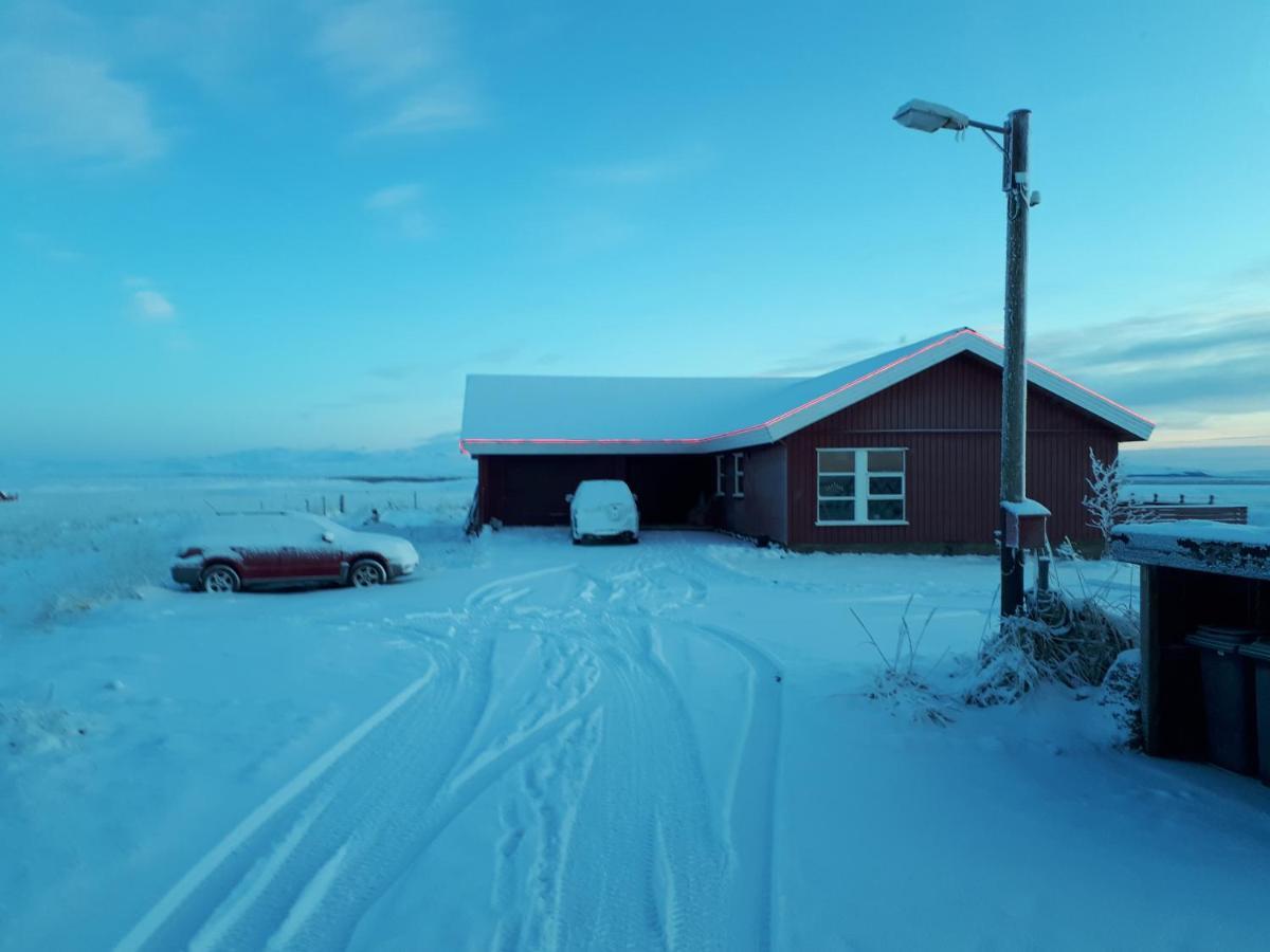 Svetlana Guest house 2*