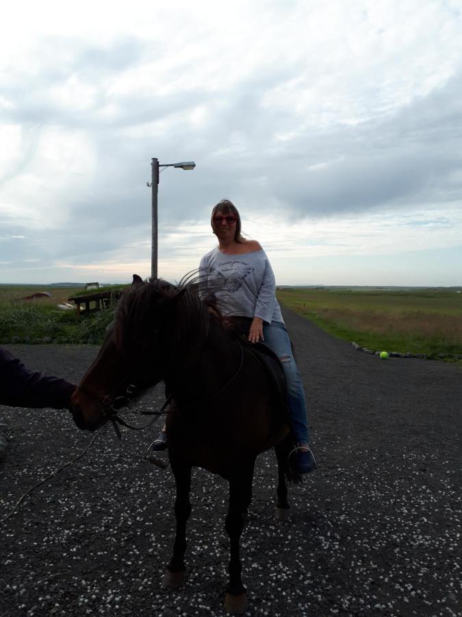 Guest house Svetlana 2*